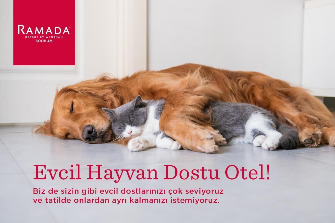 ביטז Ramada Resort By Wyndham Bodrum מראה חיצוני תמונה